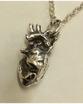 Sterling Silver Anatomical Heart Pendant